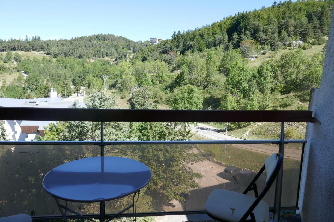 La Grande Moucherolle Bis Villard-de-Lans Buitenkant foto